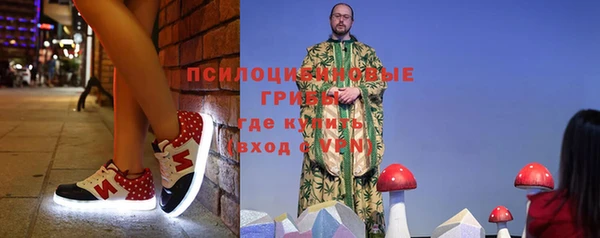 СК Абаза