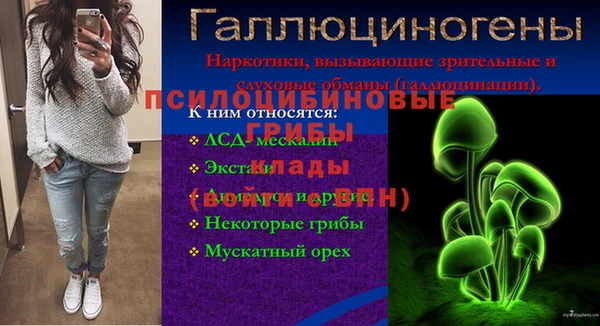 2c-b Новокубанск