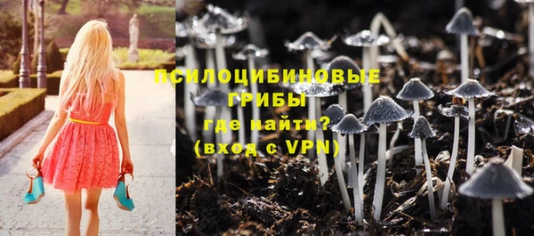 СК Абаза