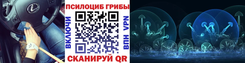 Псилоцибиновые грибы MAGIC MUSHROOMS  Пыталово 
